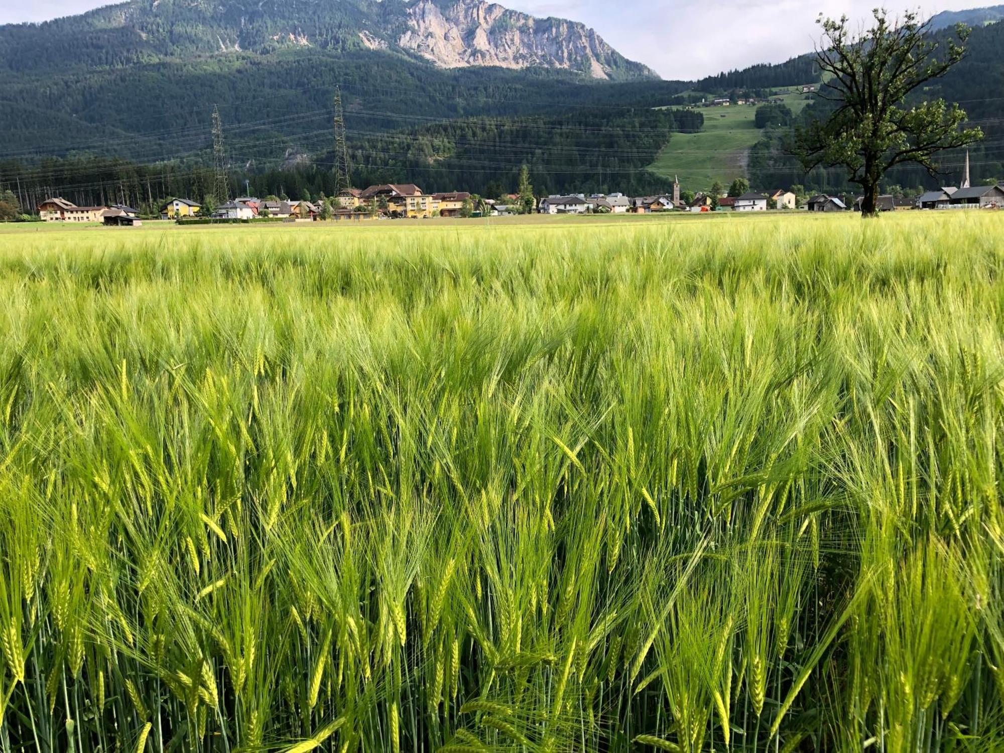 Baerenhuette Troepolach-Nassfeld Jenig Esterno foto